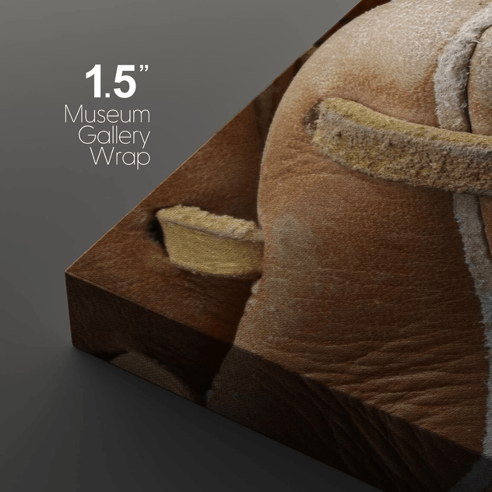 Sports Athletes Photography Framed Canvas Set of 3 - Vintage Baseball Football Basketball Wall Decor - 1.5" Floating Frame